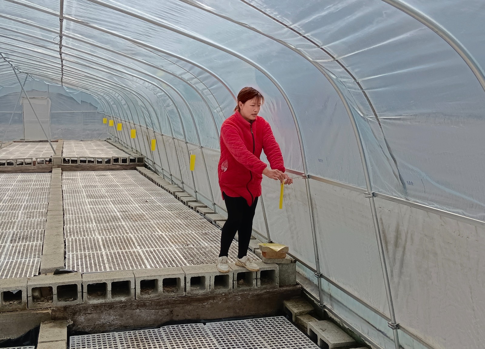 芳華“艷”然綻放，同行一路向陽