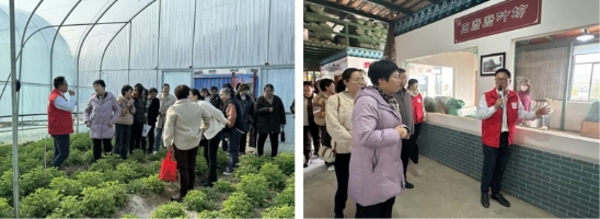 蘄春縣煙草專賣局：巧手卷艾齊爭艷 魅力巾幗展風采