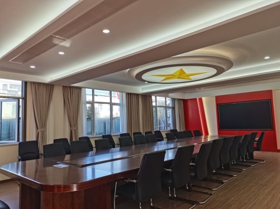 “頭雁”領航激活力 黨旗飄揚促發展