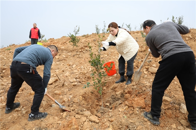 湖北松滋市煙草專賣局：植樹添新綠 不負好春光