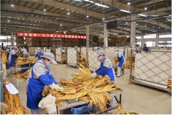 1729496046134302.jpg 1729496046134302.jpg