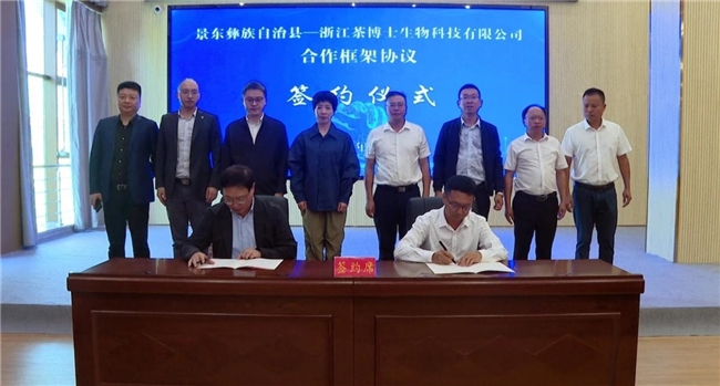 茶博士控股攜手云南景東縣，點燃脫咖技術產業新引擎