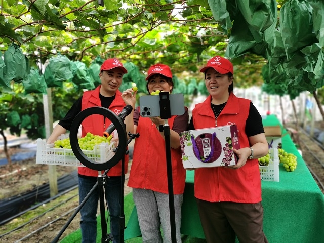 浙江長興：“溢”起助農迎秋收 架起振興“連心橋”