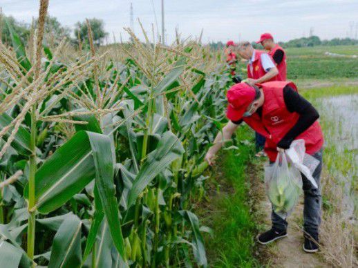 浙江長興：“香溢”助農在行動 直播帶貨拓硝路
