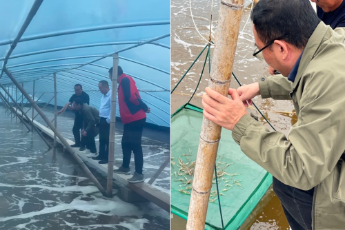 恒興：讓養殖戶的每一分投入都長出真金白銀——專訪恒興常務副總裁、恒興研究院院長張海濤