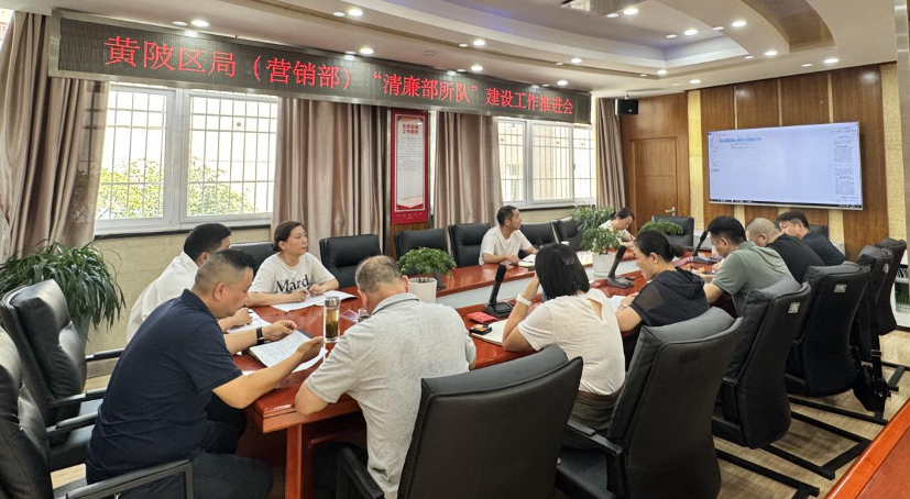 武漢黃陂：精準發力強根基 清廉建設再深化