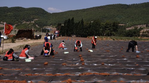 一直游到海水變藍——在時代長潮中校準青年前行方向