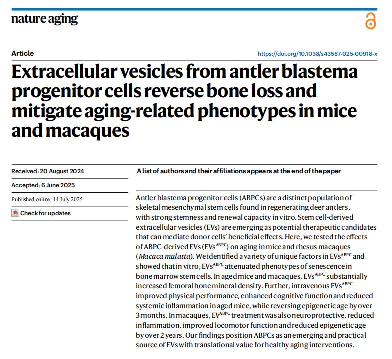 頂刊研究+道地藥材，吉林敖東安神補腦液 破解抗衰密碼