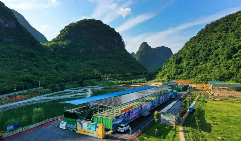 “一片葉子富一方百姓” 昭平茶產業鋪就鄉村振興路