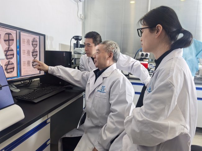 3天vs 30天：文痕室里的“極速”戰役