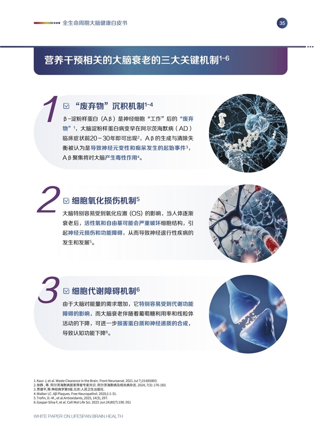 《全生命周期大腦健康白皮書》發布會圓滿舉辦，專家呼吁從20歲起科學護腦