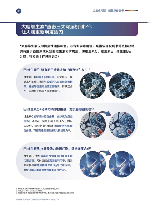 《全生命周期大腦健康白皮書》發布會圓滿舉辦，專家呼吁從20歲起科學護腦
