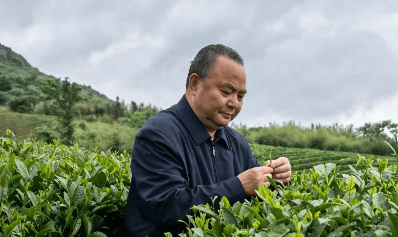 文章配圖-1